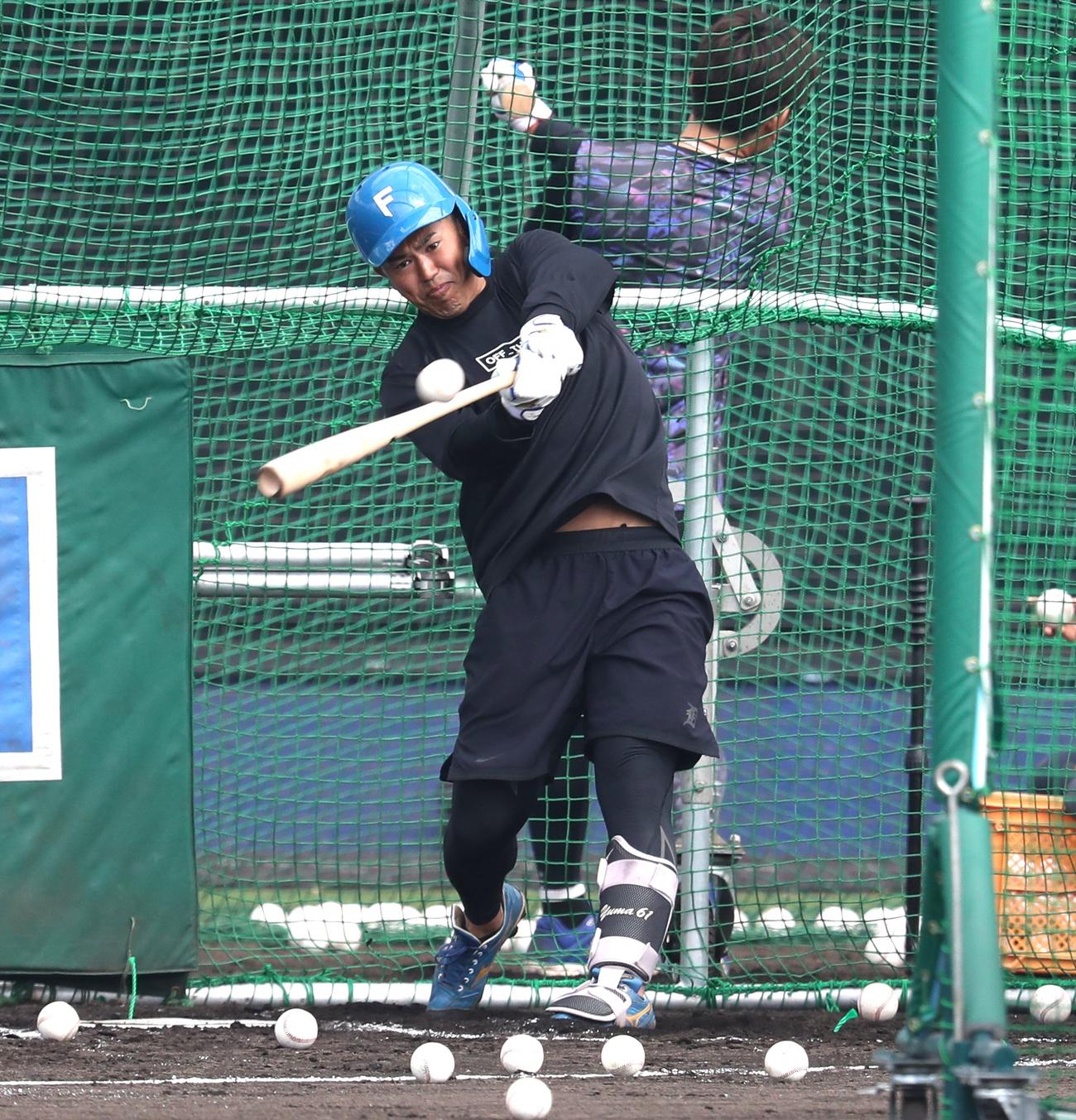 フリー打撃する日本ハム今川（撮影・黒川智章）