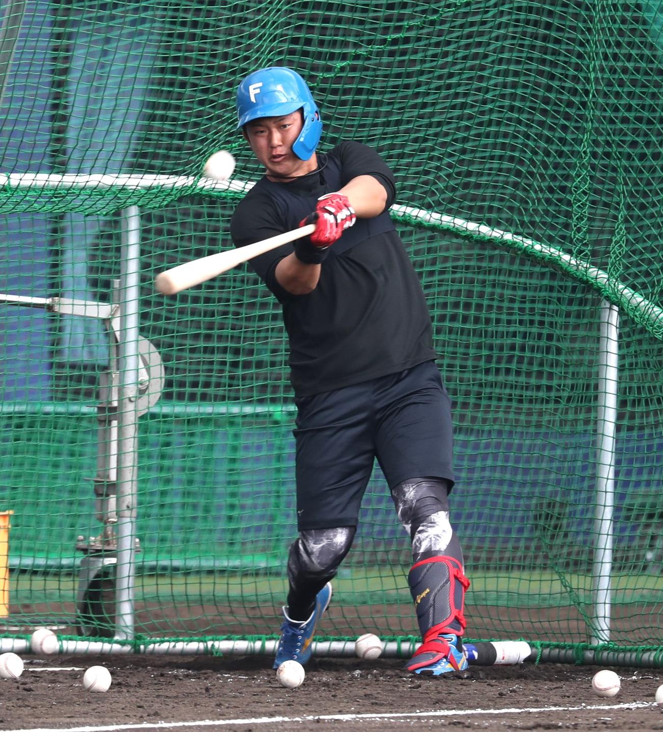 フリー打撃する日本ハム進藤（撮影・黒川智章）