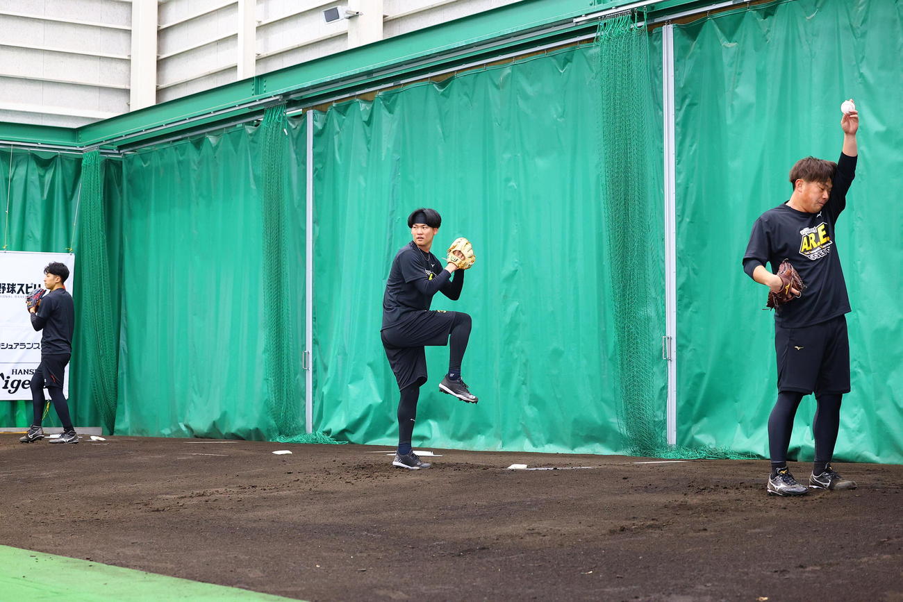 合同自主トレで、ブルペン投球練習する（左から）茨木秀俊、及川雅貴、桐敷拓馬（撮影・藤尾明華）