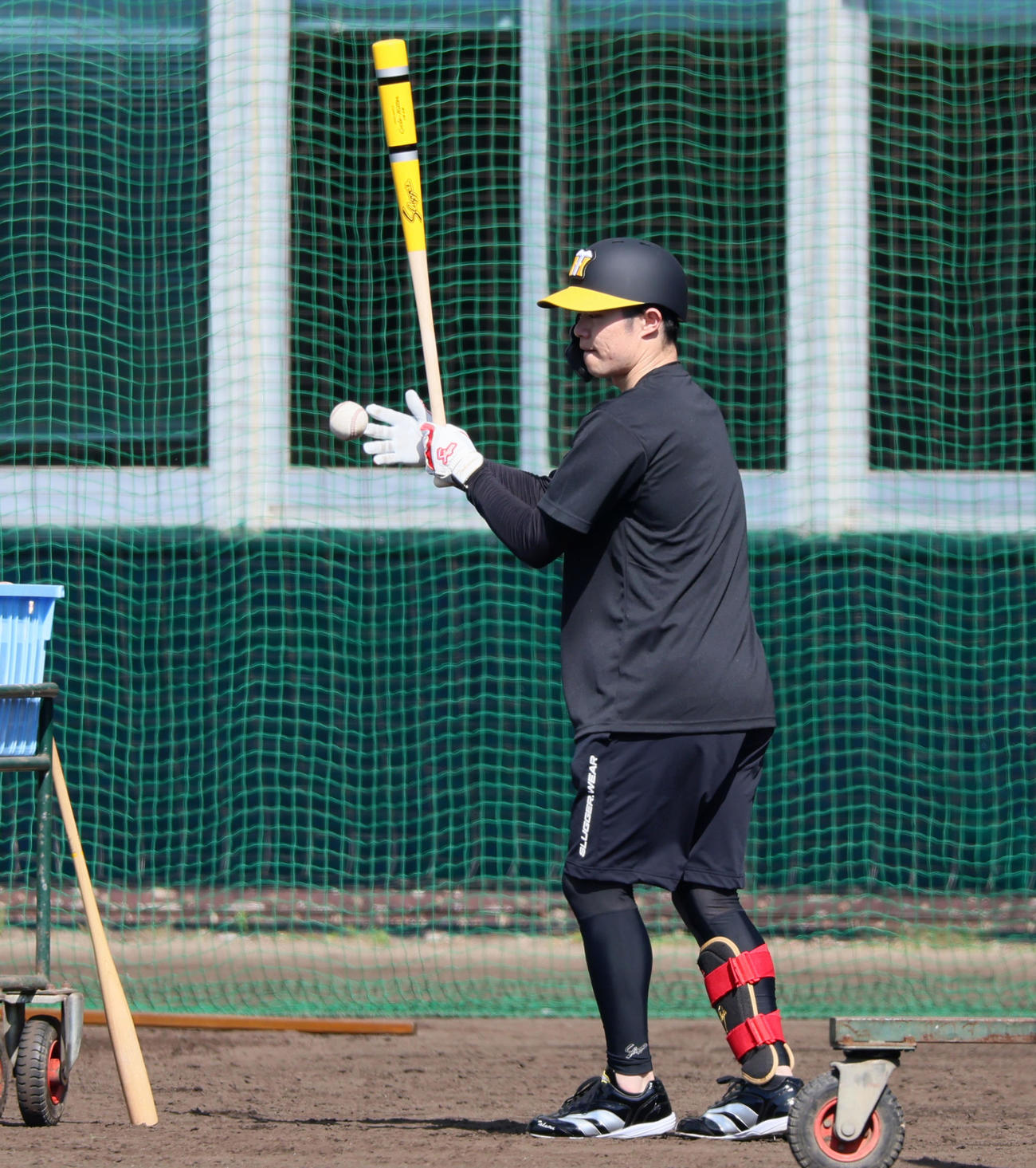 合同自主トレがスタートし打席横からノックを打つ中野（撮影・加藤哉）