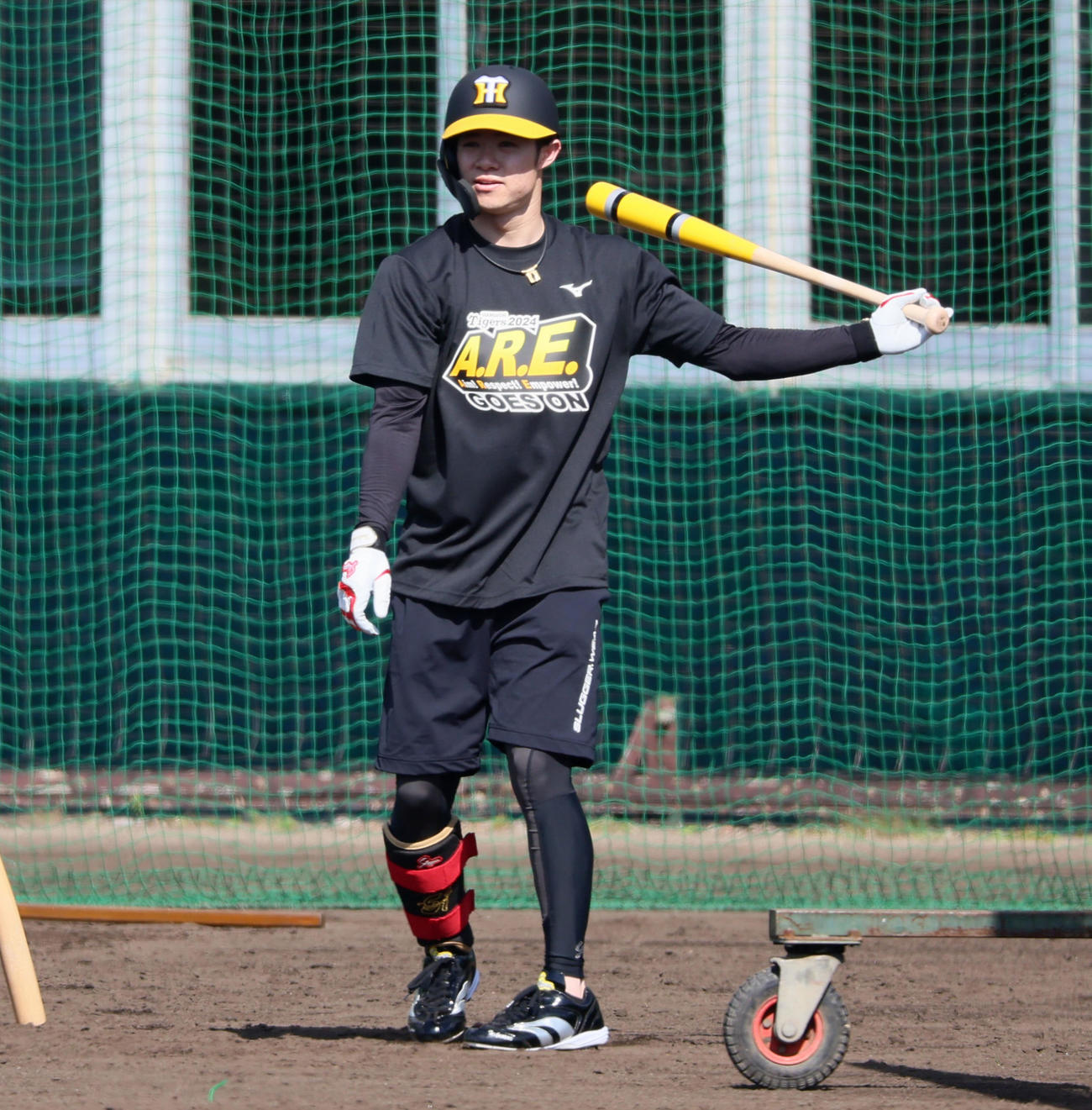 合同自主トレがスタートし打席横からノックを打つ中野（撮影・加藤哉）