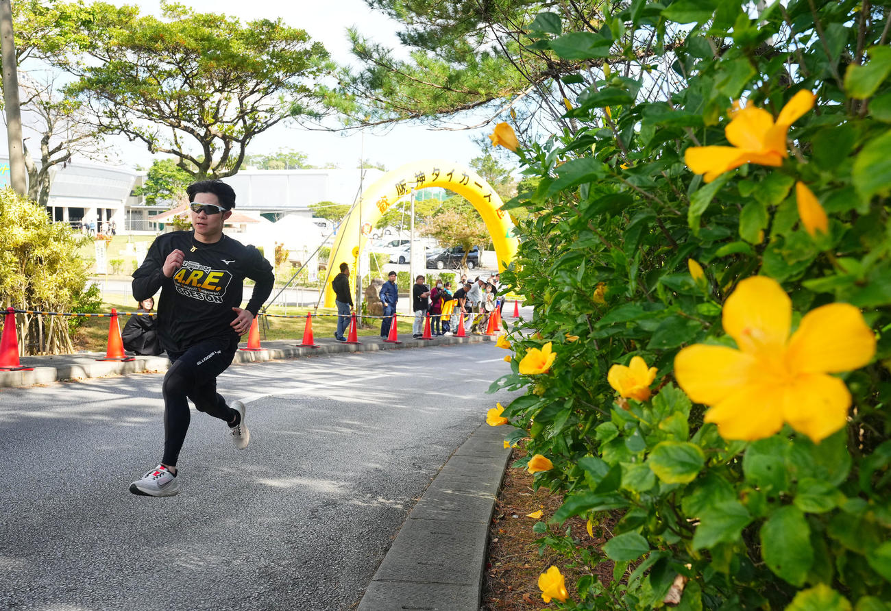 黄色いハイビスカスの横を坂道ダッシュする中野（撮影・藤尾明華）