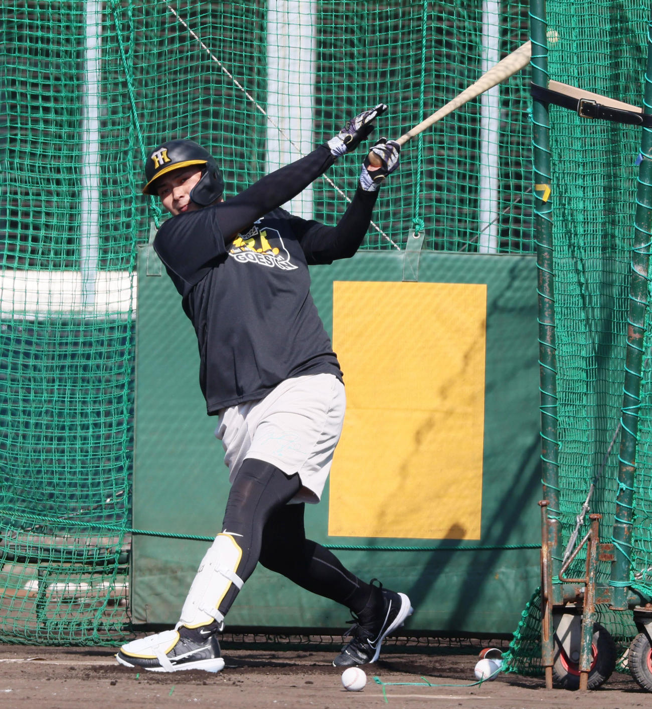 合同自主トレで打撃練習する井上（撮影・加藤哉）