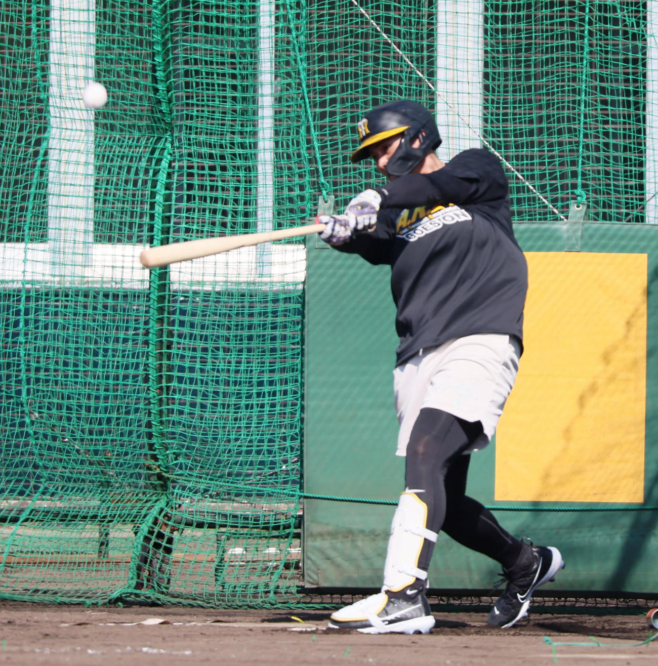 打撃練習で宜野座1号を放った井上（撮影・加藤哉）