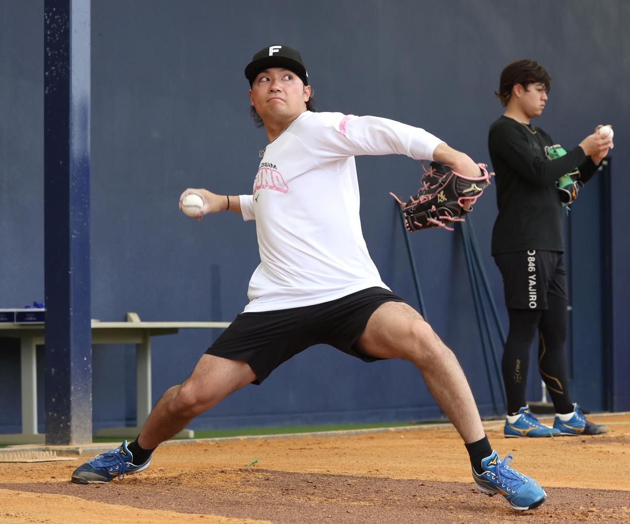 ブルペンで投球する日本ハム伊藤（撮影・黒川智章）
