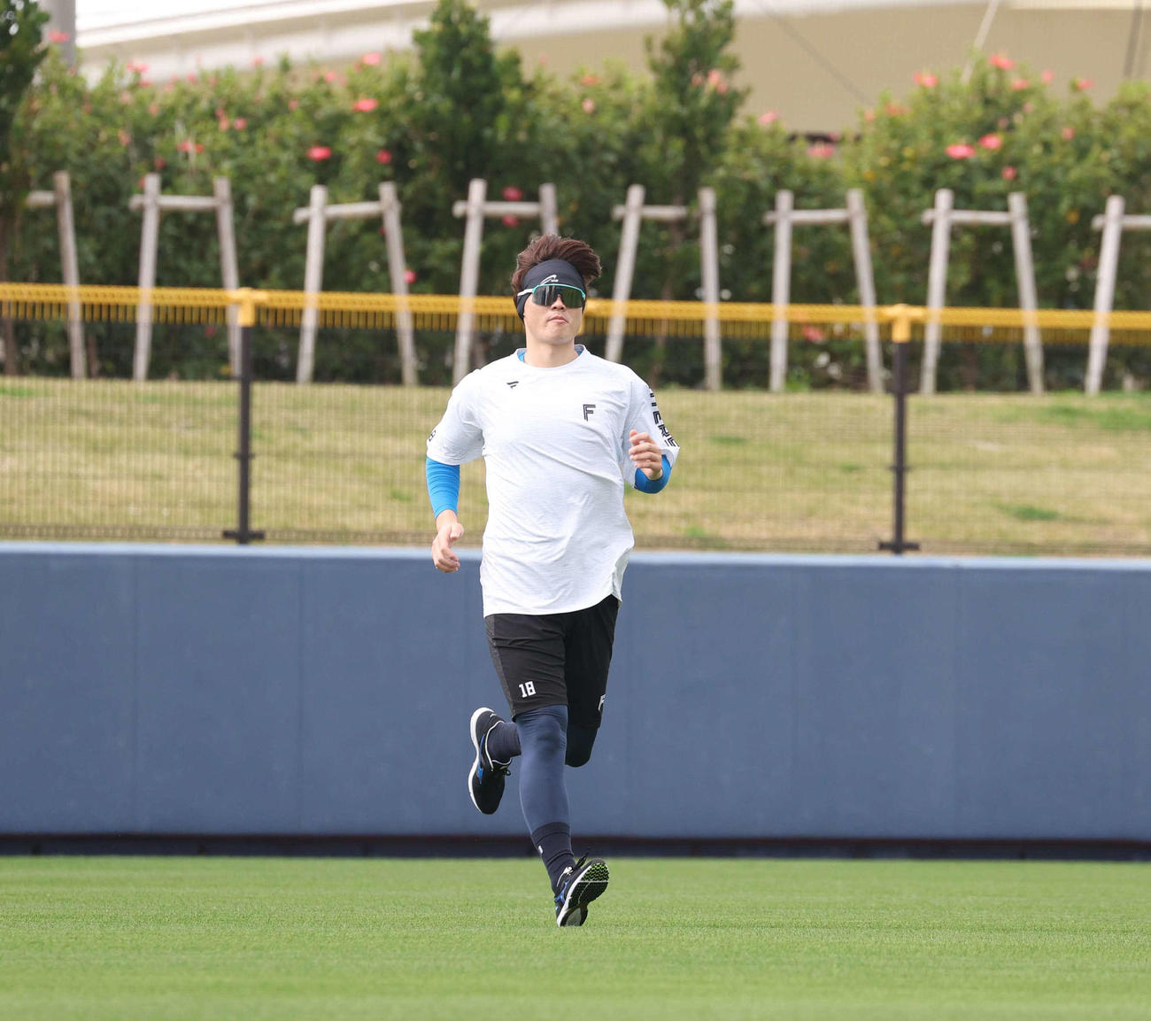 グラウンドで軽く体を動かす日本ハム山崎（撮影・黒川智章）
