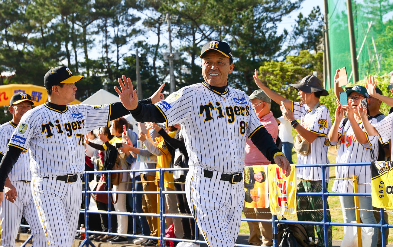 宜野座で歓迎を受ける阪神岡田監督と選手ら（撮影・上山淳一）