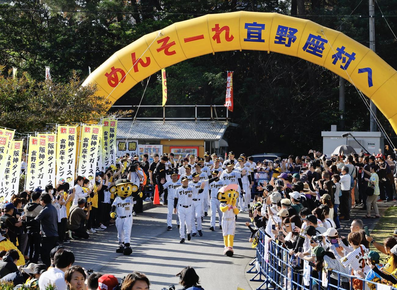 阪神春季キャンプ　キャンプインを前にパレードする岡田彰布監督ら阪神の選手たち（撮影・藤尾明華）