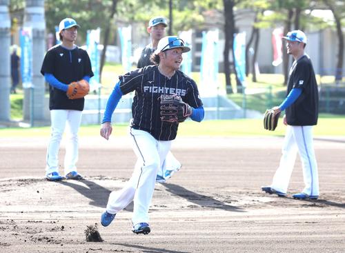 フィールディング練習する日本ハム伊藤（撮影・黒川智章）