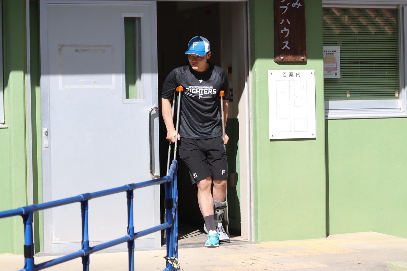 国頭でのリハビリを終え松葉杖姿で引き上げる日本ハム清宮（撮影・永野高輔）