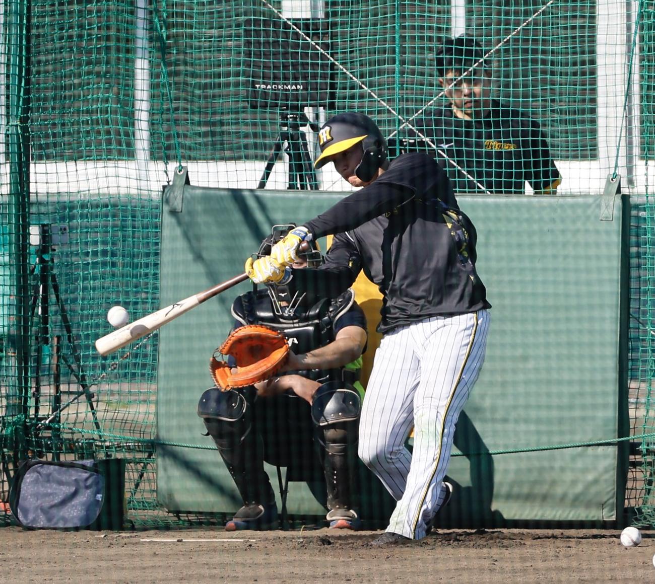 阪神春季キャンプ　全体練習後の特打で、フリー打撃を行う森下翔太