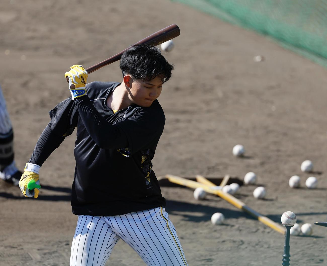 阪神春季キャンプ　全体練習後の特打で、短いバットを使ってティー打撃を行う森下（撮影・藤尾明華）
