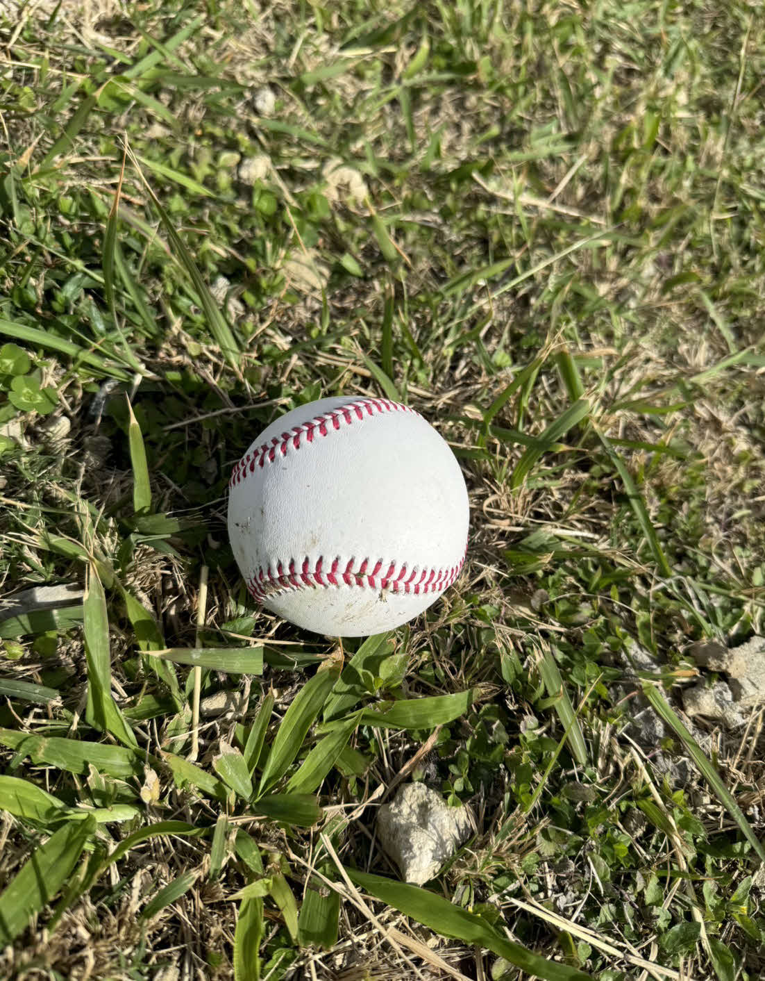 フリー打撃の初スイングで“プロ初アーチ”を放ったDeNA度会のホームランボール