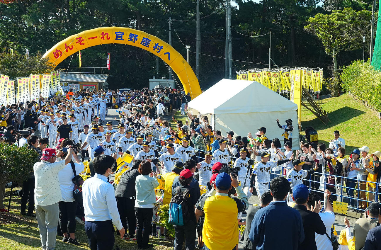 プチパレードでファンに手を振る岡田監督ら阪神ナイン（撮影・藤尾明華）