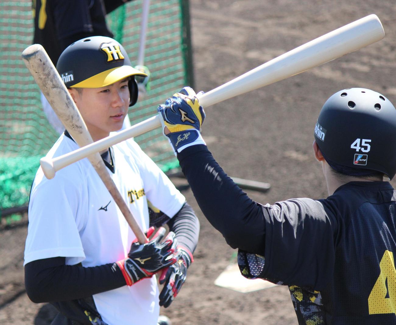 バント練習中に遠藤成（右）と話す阪神山田脩也（撮影・柏原誠）