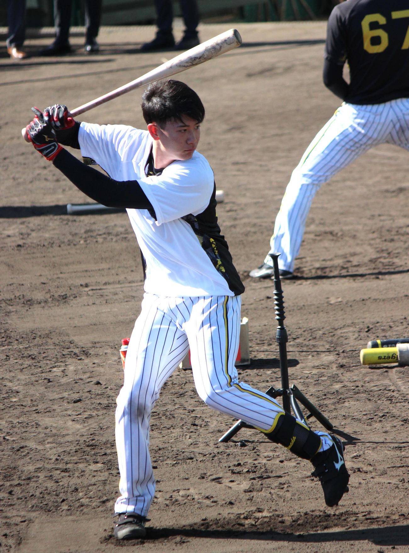 ティー打撃を行う阪神山田（撮影・柏原誠）