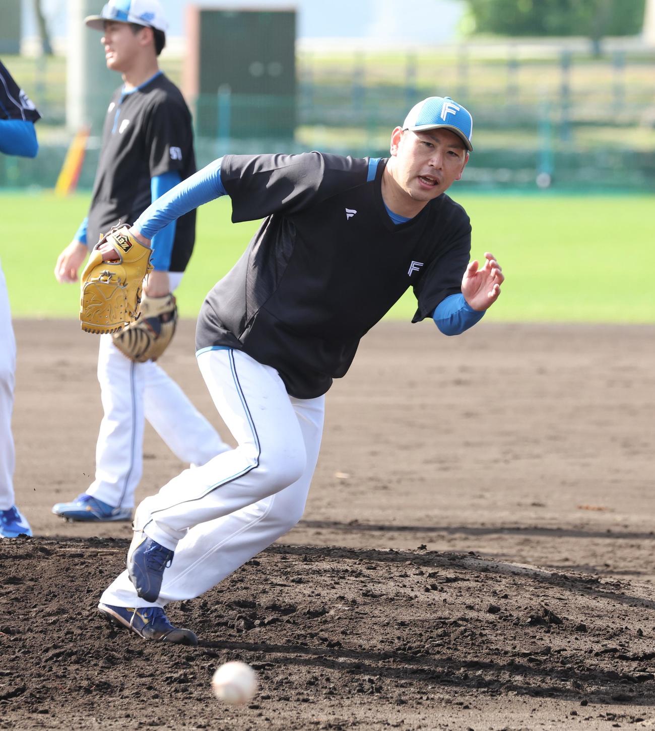 フィールディング練習する日本ハム加藤貴（撮影・黒川智章）