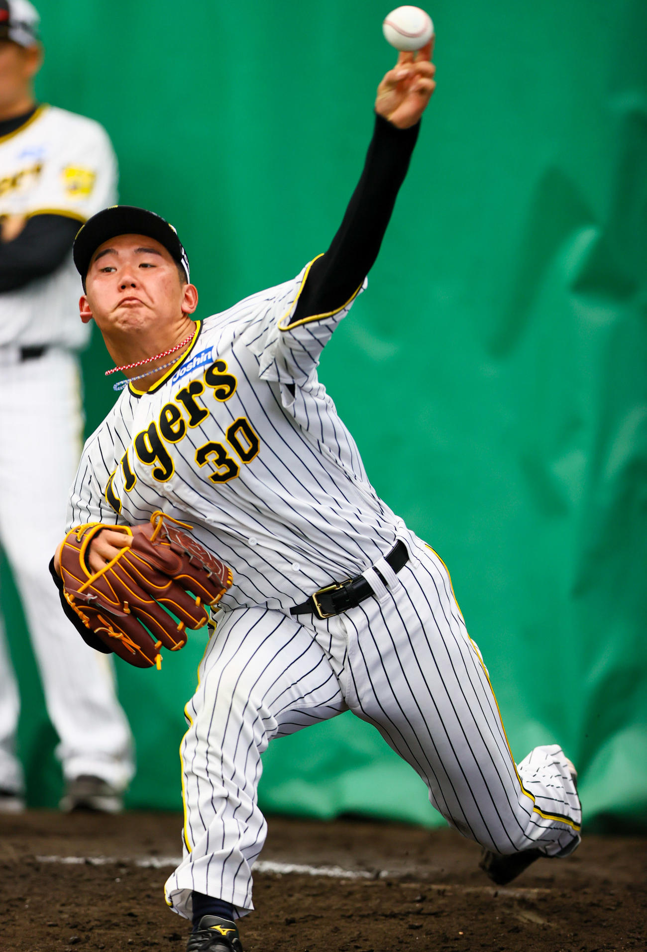 ブルペンで投げ込む阪神門別（撮影・上山淳一）