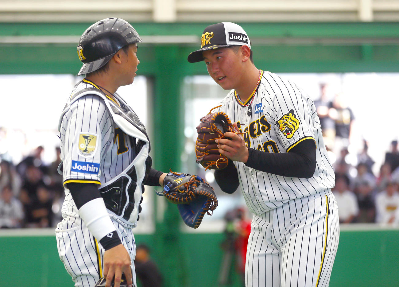 ブルペンで投球を終えた阪神門別（右）は、梅野のアドバイスに聞き入る（撮影・上山淳一）