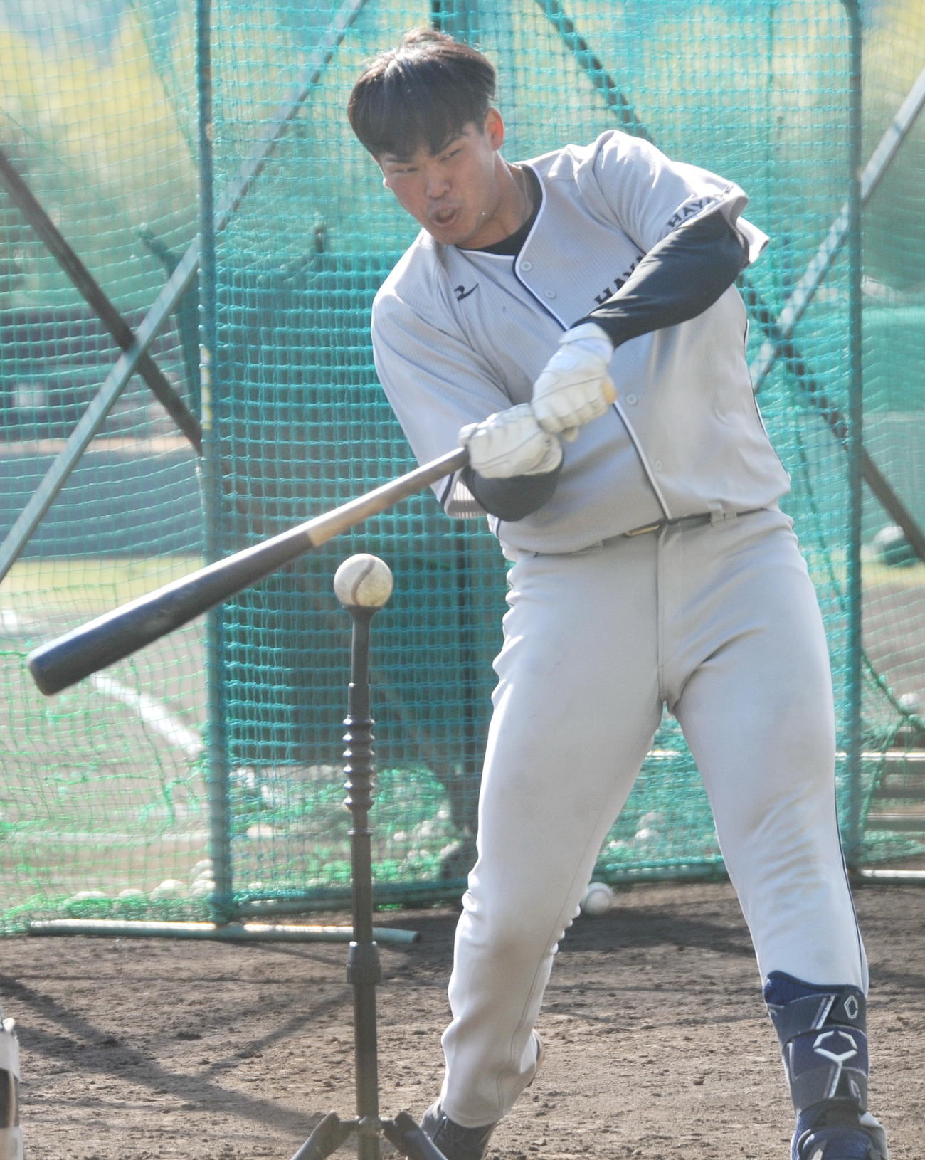 ティー打撃に励む高橋内野手　