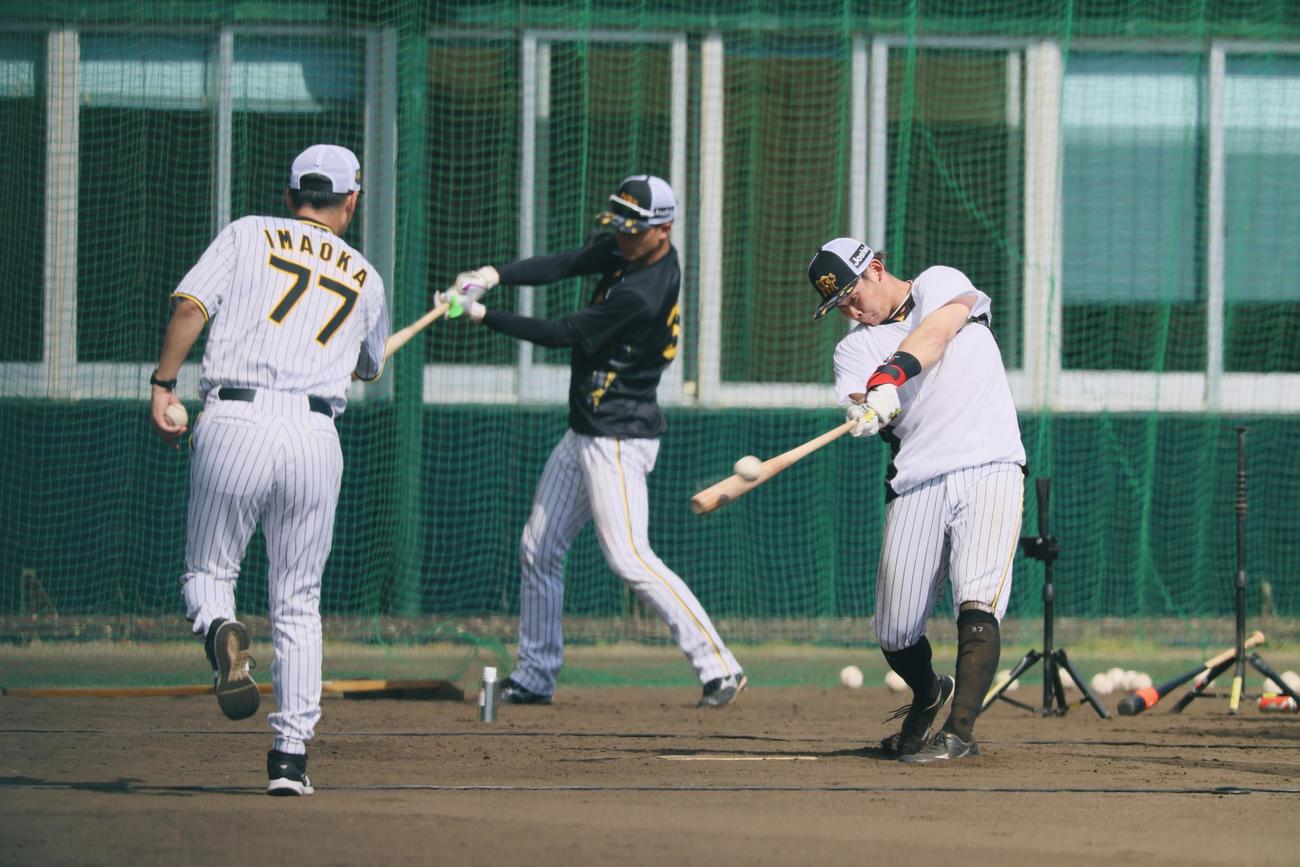 野口は今岡コーチ（左）のトスでロングティー打撃を行う（撮影・加藤哉）