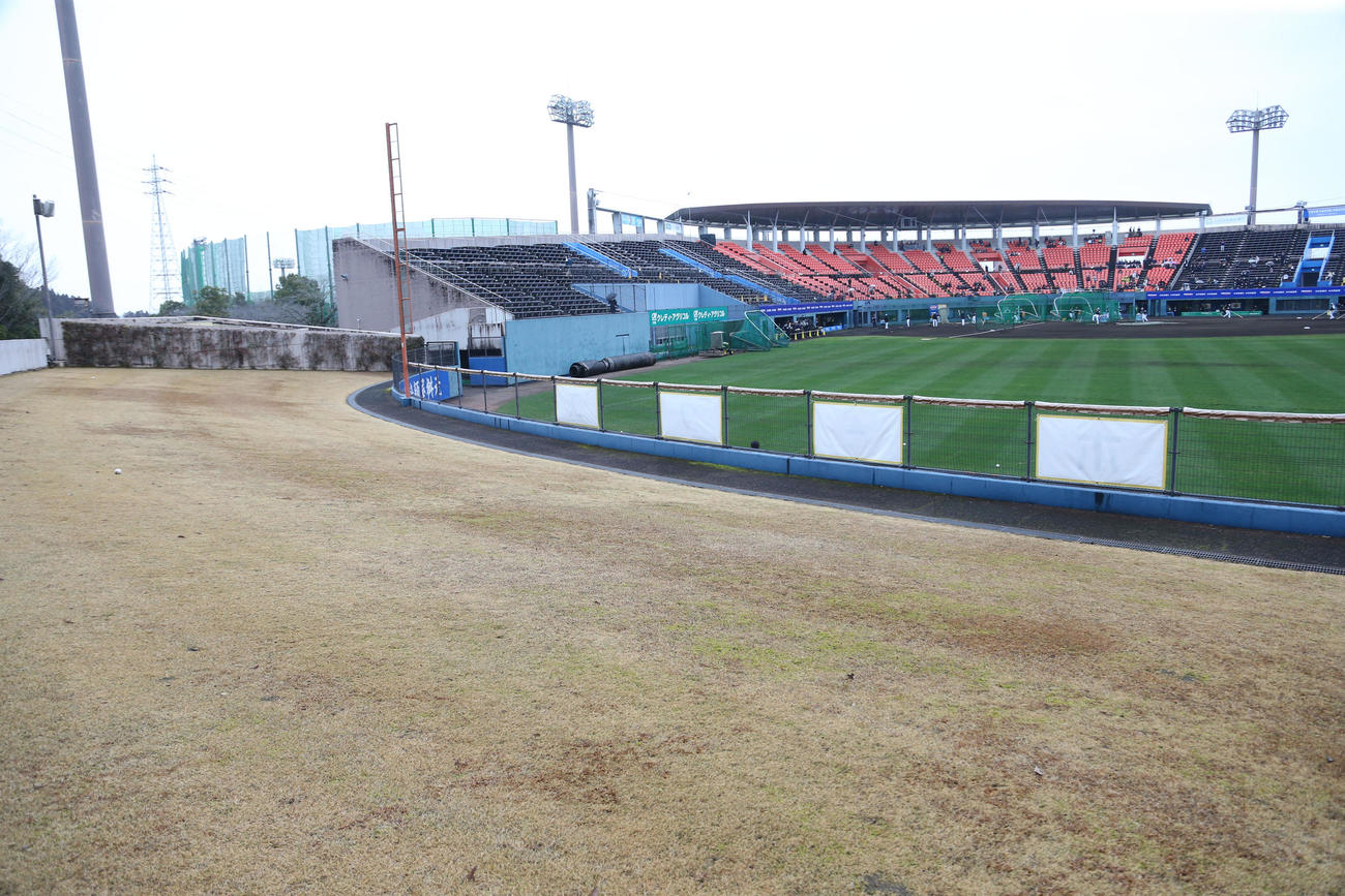 アイビースタジアム全景（撮影・梅根麻紀）