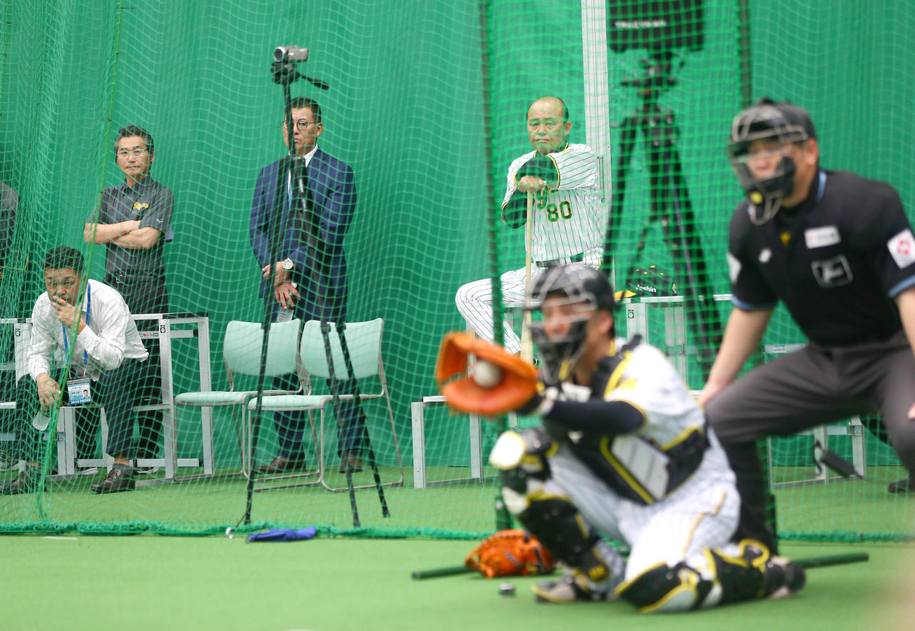 ブルペンで阪神ゲラの投球を見る、左から日刊スポーツ評論家の谷繁氏、嶌村球団本部長、福留氏、岡田監督（撮影・上山淳一）