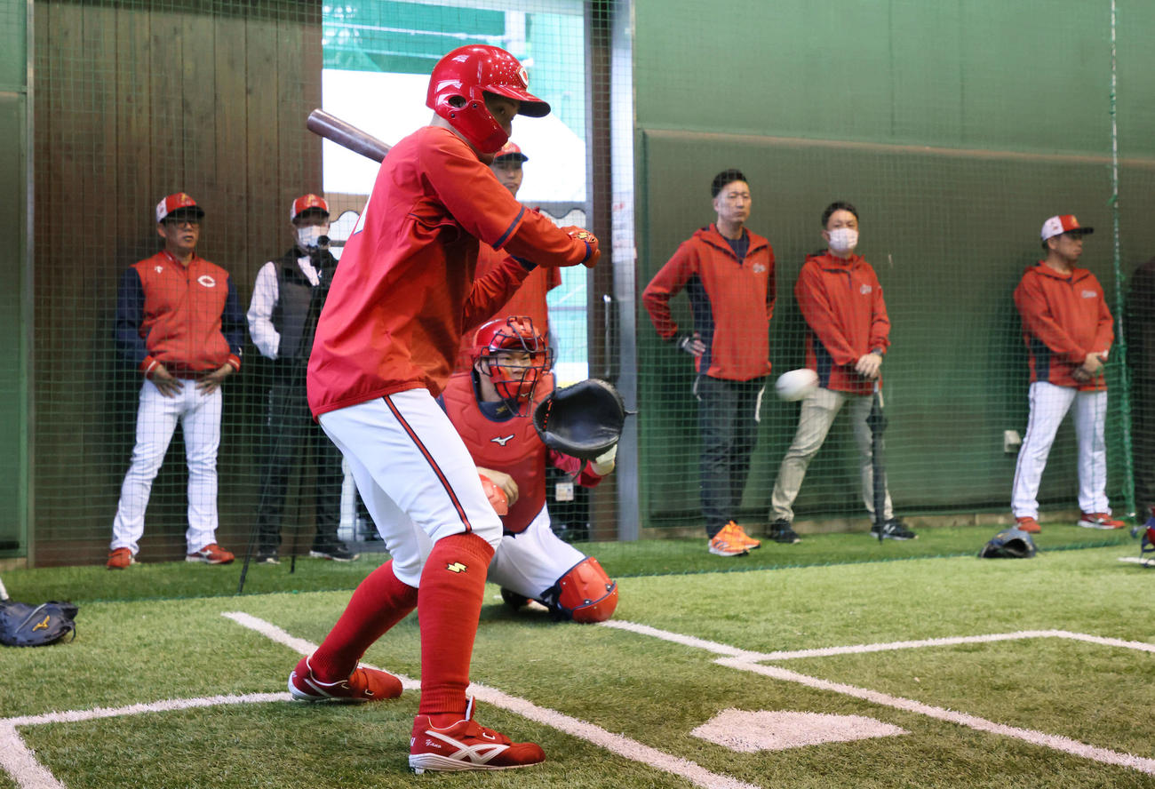 広島森下の球を受ける坂倉と打球をチェックする矢野（撮影・加藤孝規）