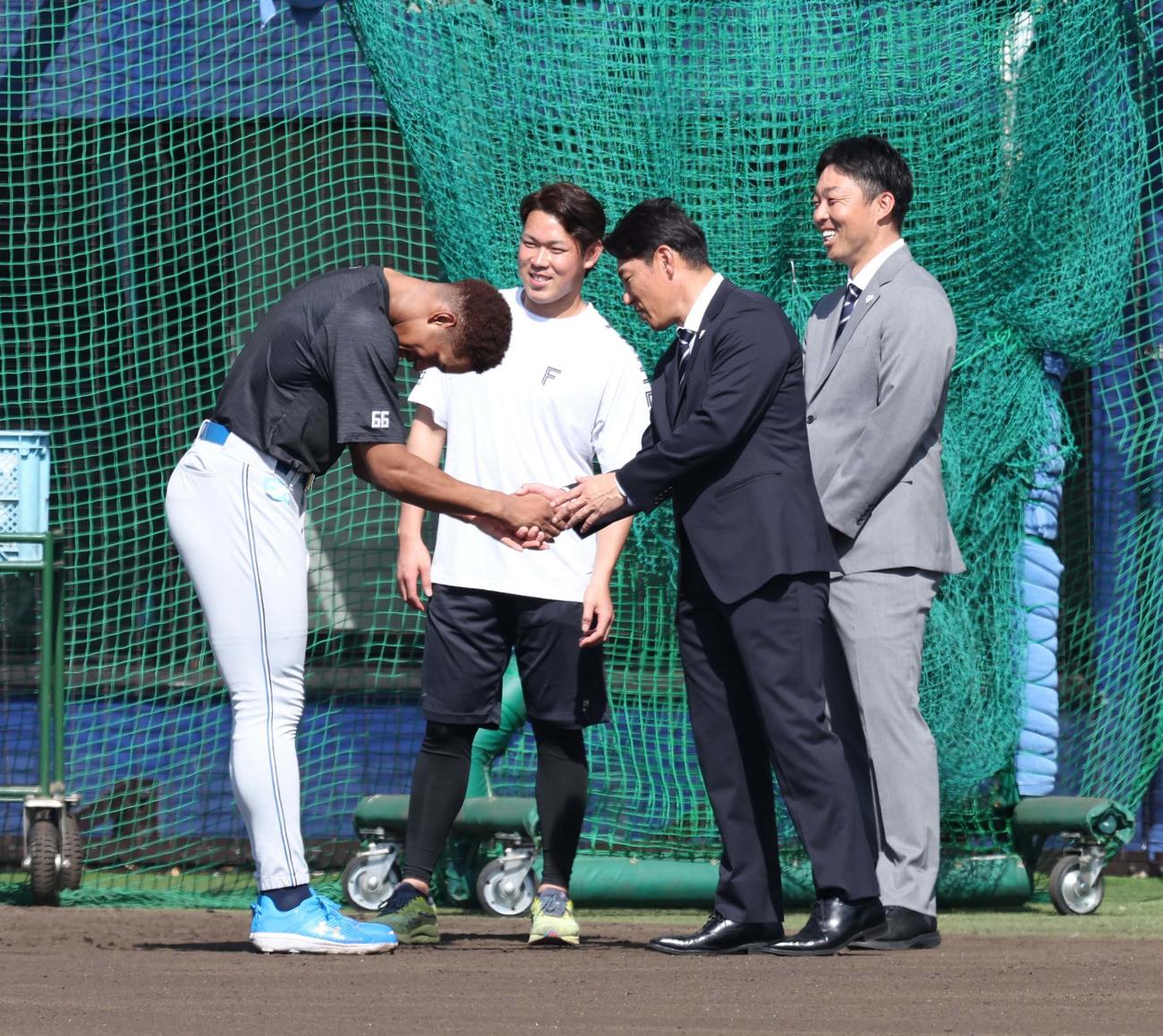 日本ハムのキャンプ地を訪れた侍ジャパン井端監督（右から2人目）と握手する日本ハム万波。左から2人目は根本、右端は吉見投手コーチ（撮影・黒川智章）