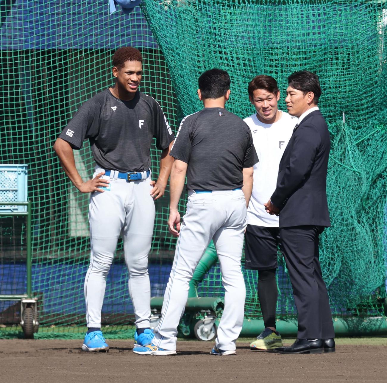 日本ハムのキャンプ地を訪れた侍ジャパン井端監督（右端）と話す日本ハム万波（左端）と根本（右から2人目（撮影・黒川智章）