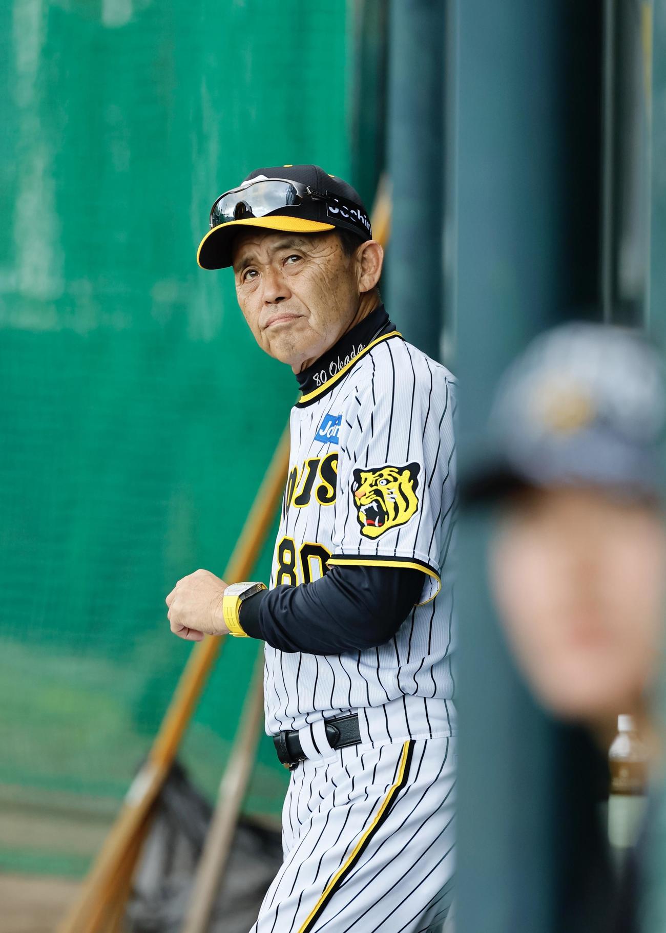 阪神春季キャンプ　野口の特打の打球を見つめる岡田監督（左端）（撮影・藤尾明華）