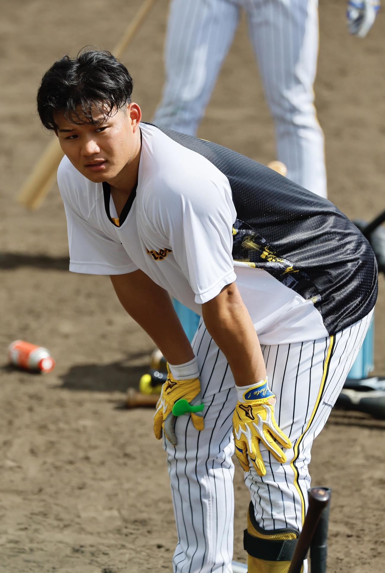 阪神春季キャンプ　練習の合間に膝に手をつく森下（撮影・藤尾明華）