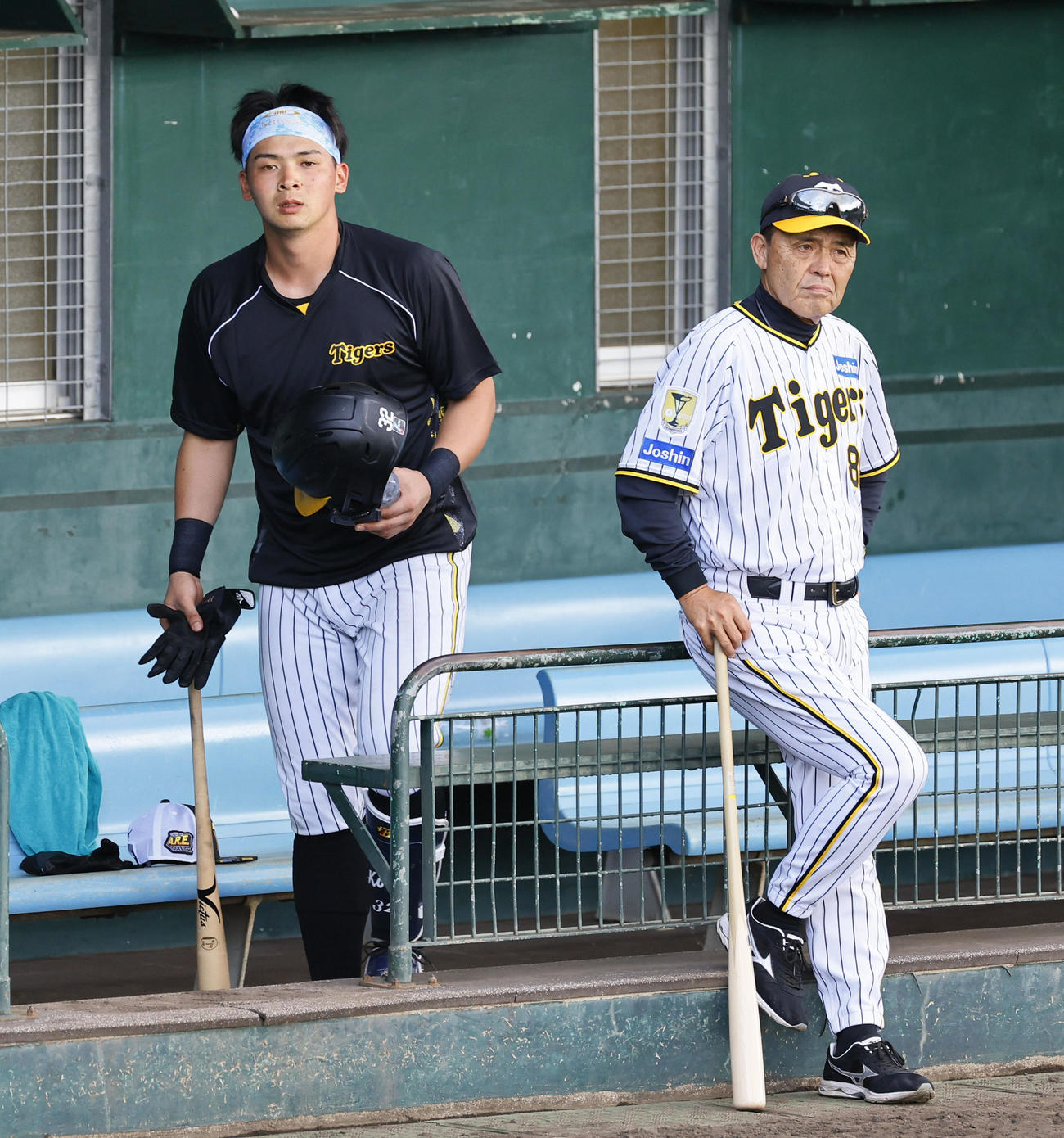 特打に向かう井上（左）と練習を見る岡田監督（撮影・藤尾明華）