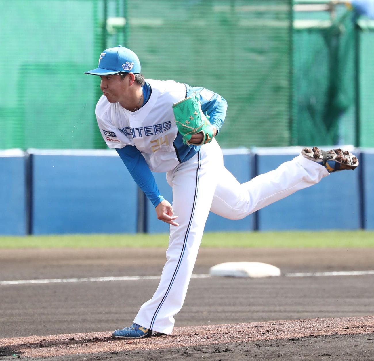 日本ハム紅白戦　　白組先発の金村（撮影・黒川智章）