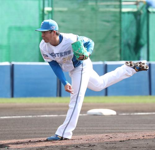 日本ハム紅白戦　　白組先発の金村（撮影・黒川智章）