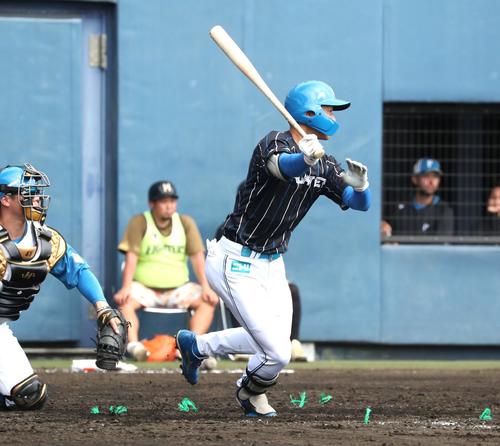 日本ハム紅白戦　5回表紅組2死三塁、左前適時打を放つ石井（撮影・黒川智章）