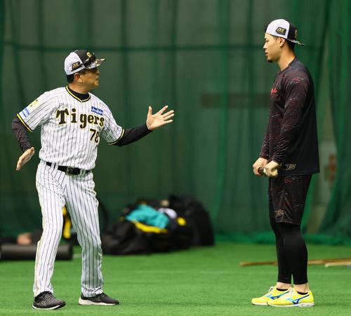 早出練習する阪神佐藤輝明(右)を指導する平田勝男ヘッドコーチ(撮影・上山淳一)