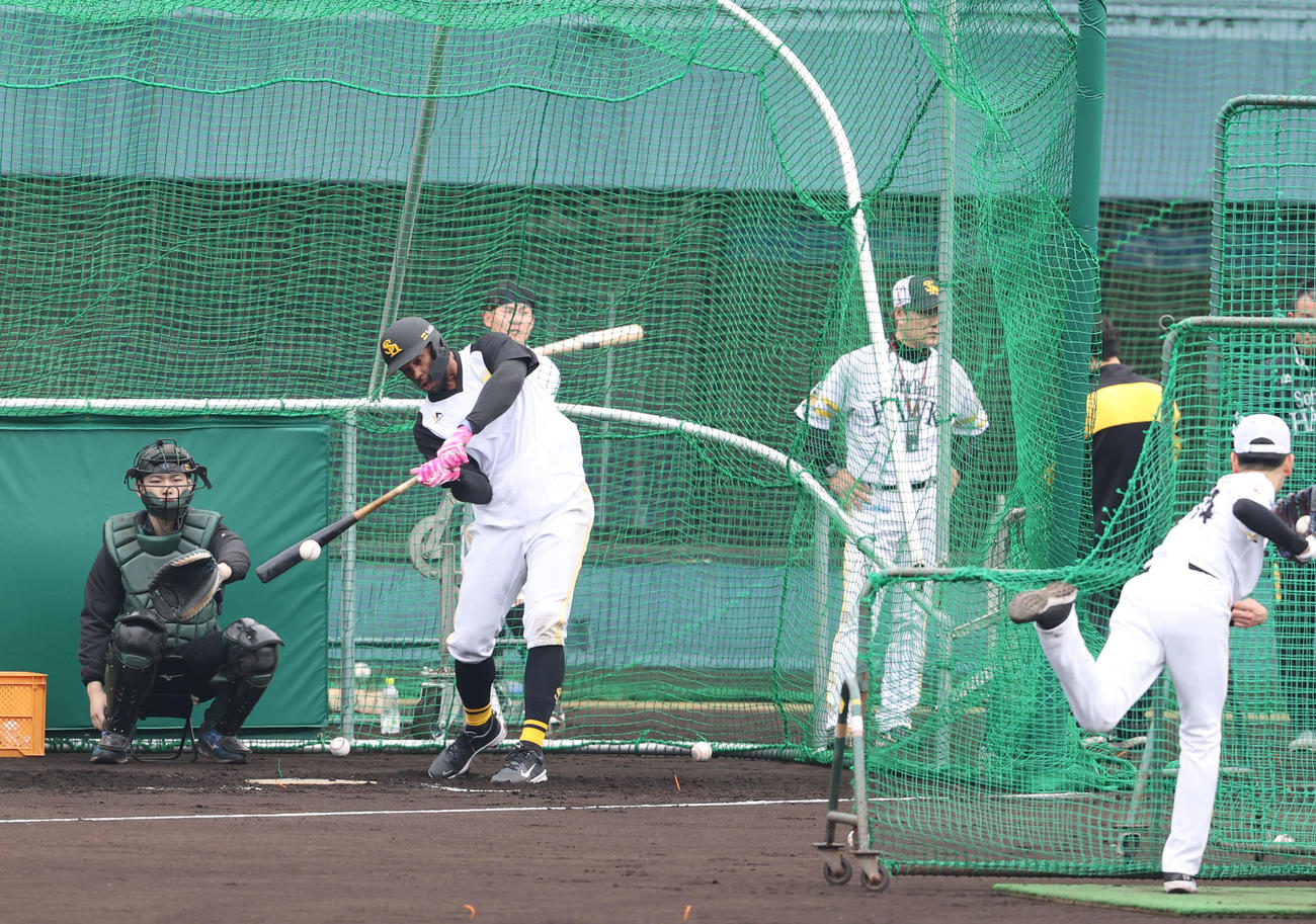 フリー打撃で快音を響かせるウォーカー（撮影・梅根麻紀）