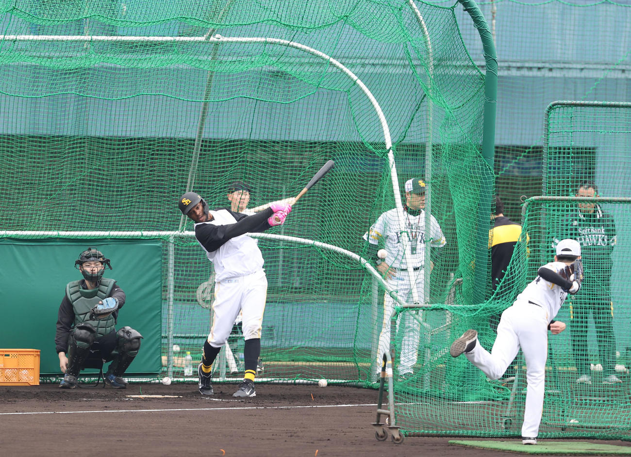 フリー打撃で快音を響かせるウォーカー（撮影・梅根麻紀）