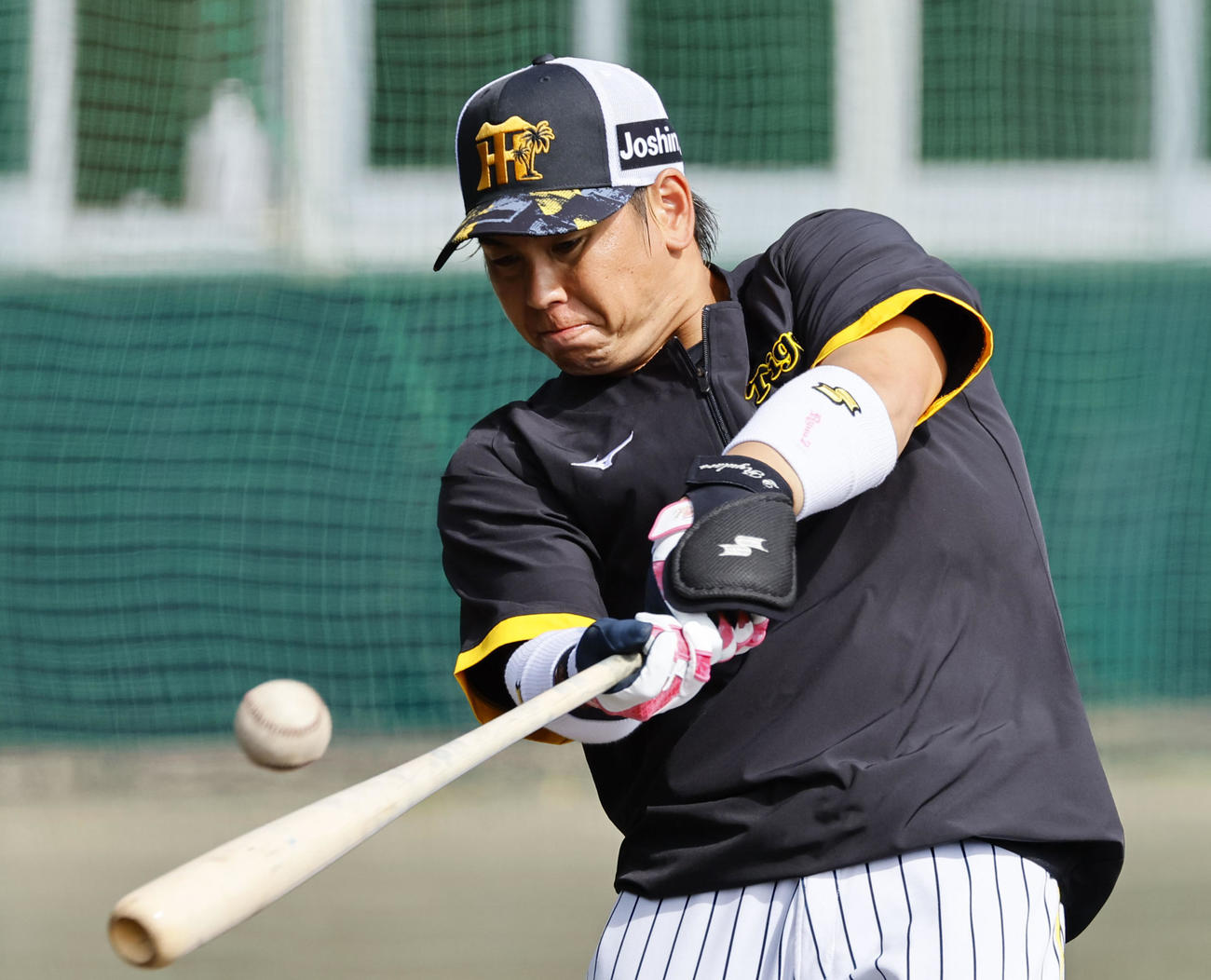 ロングティーをする梅野（撮影・藤尾明華）