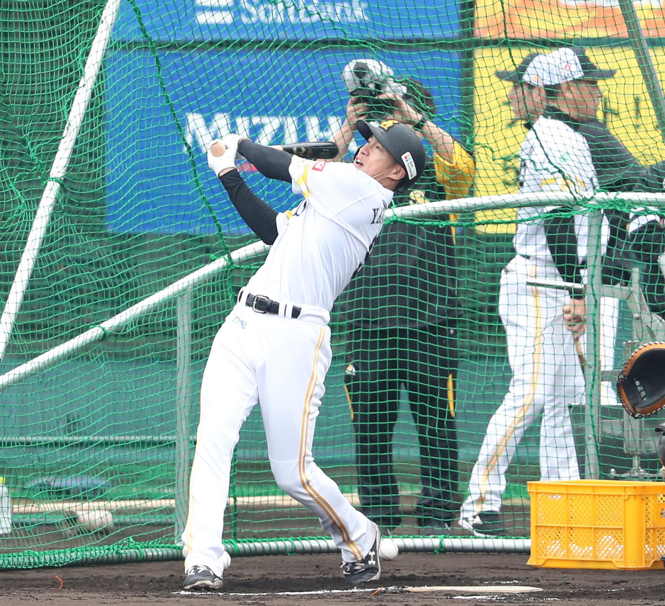フリー打撃で快音を響かせる柳田（撮影・梅根麻紀）