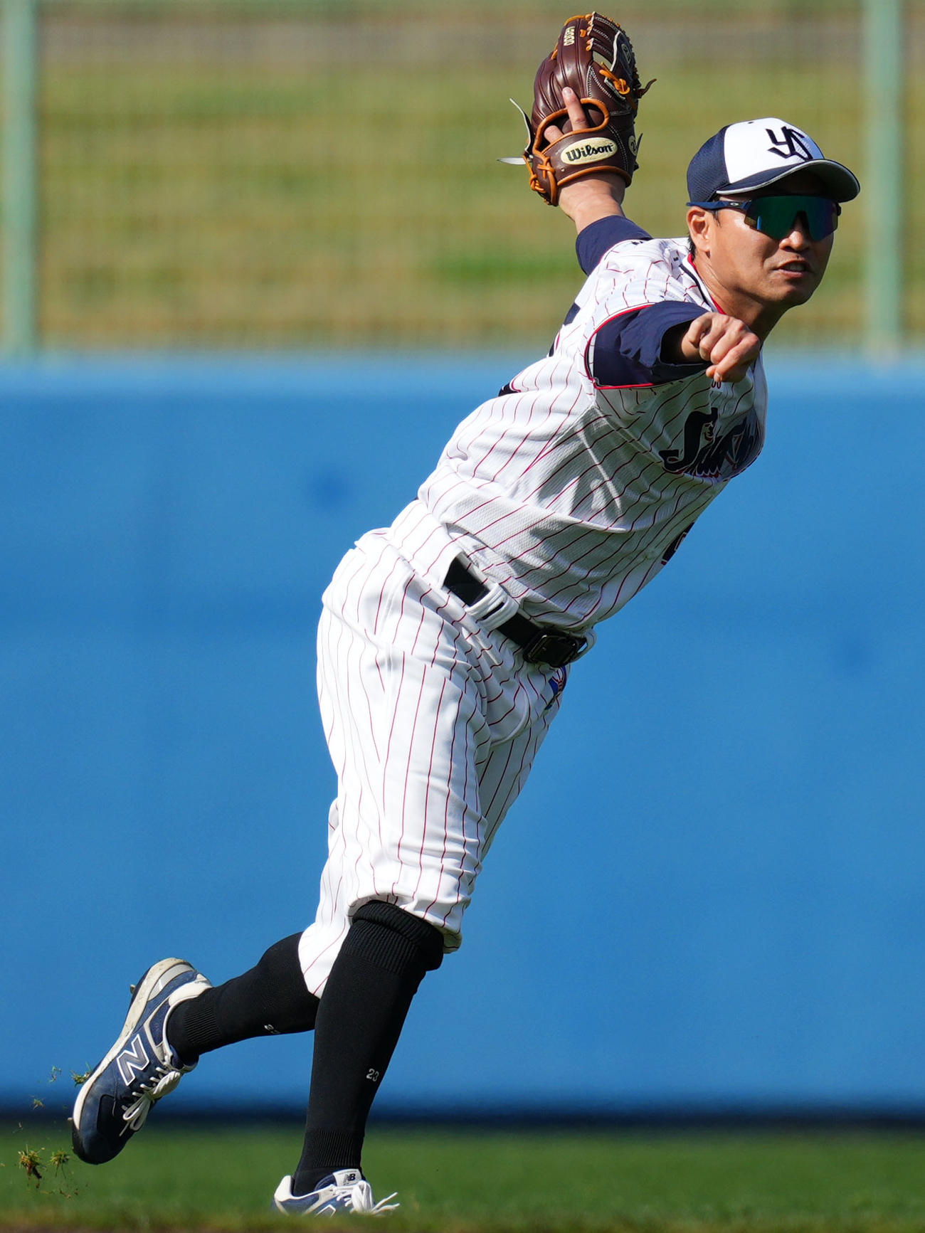 シートノックで右翼の守備に就くヤクルト青木（撮影・横山健太）