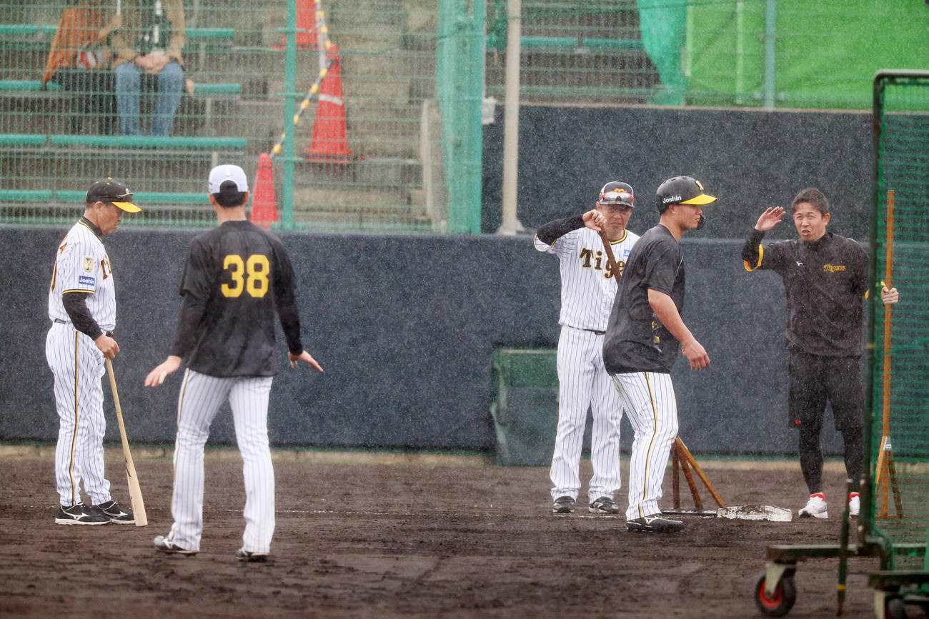 雨中の走塁練習で赤星臨時コーチ（右）、岡田監督（左）が見守る、中一塁ベースからスタートする森下（撮影・加藤哉）