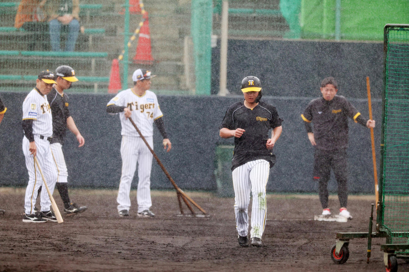 雨中の走塁練習で赤星臨時コーチ（右）、岡田監督（左）が見守る、中一塁ベースからスタートする森下（撮影・加藤哉）