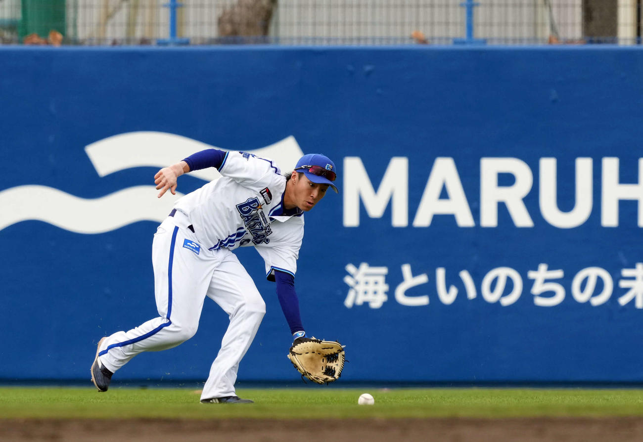 守備練習をするDeNAドラフト1位の度会（撮影・たえ見朱実）