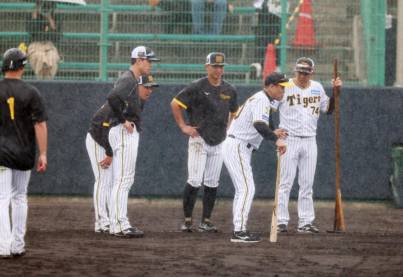 雨中の走塁練習でナインに見本を示す岡田監督（撮影・加藤哉）