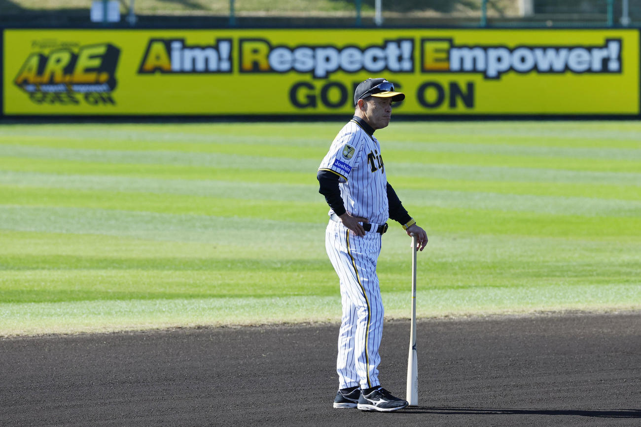 練習を見つめる岡田監督（撮影・藤尾明華）
