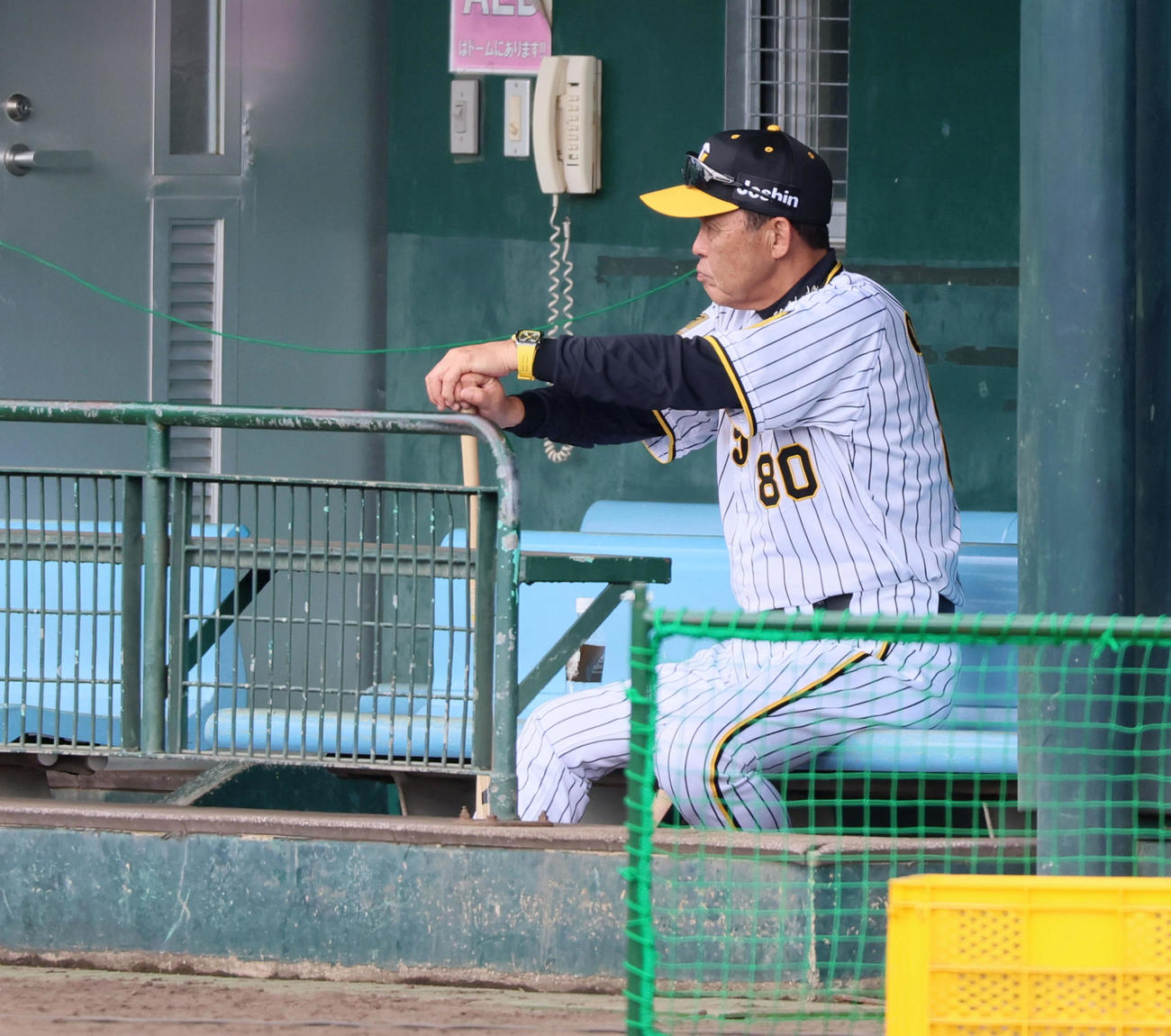 打撃練習を見守る岡田監督（撮影・加藤哉）