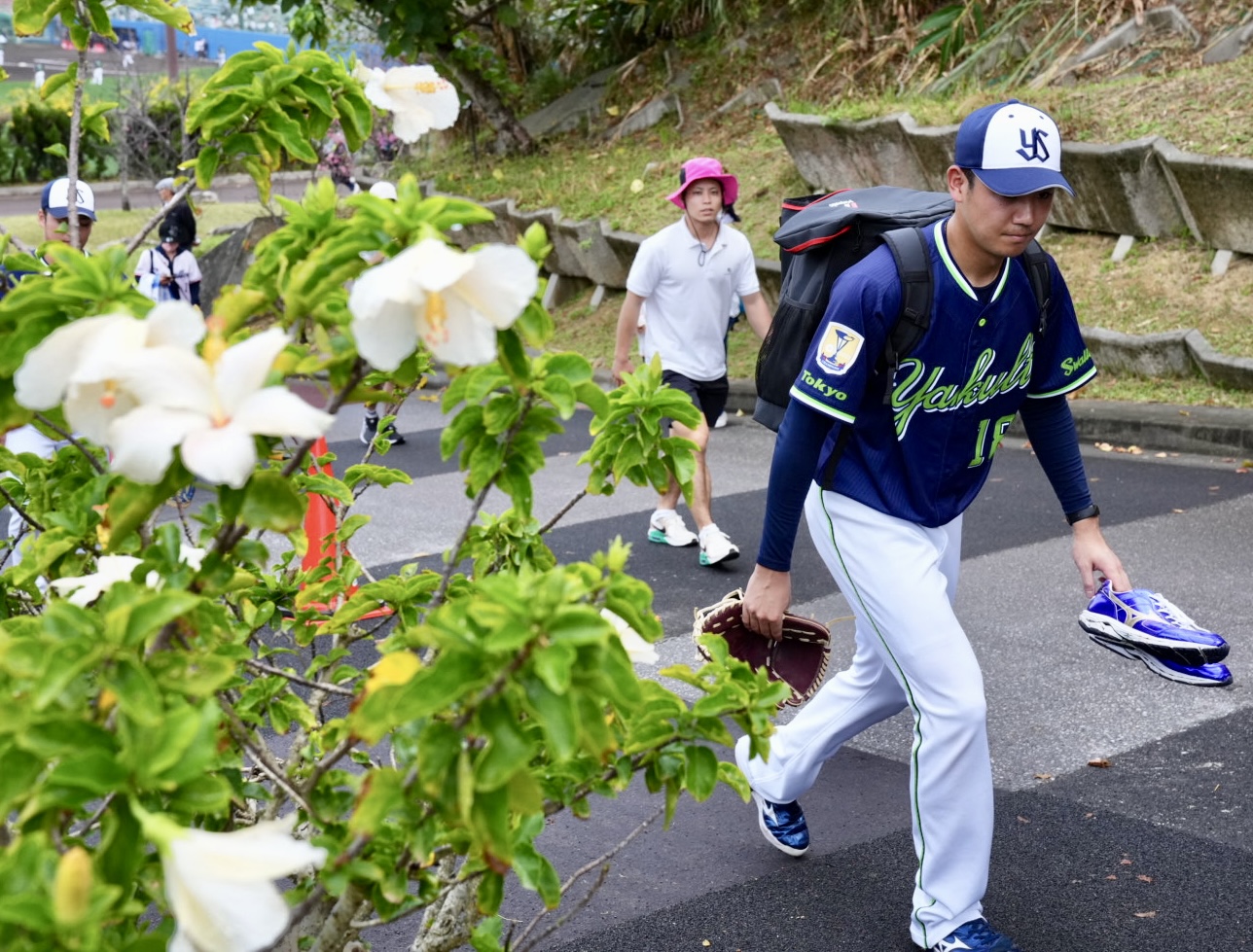 白いハイビスカスの横を通りサブグラウンドへ向かうヤクルト奥川（撮影・横山健太）