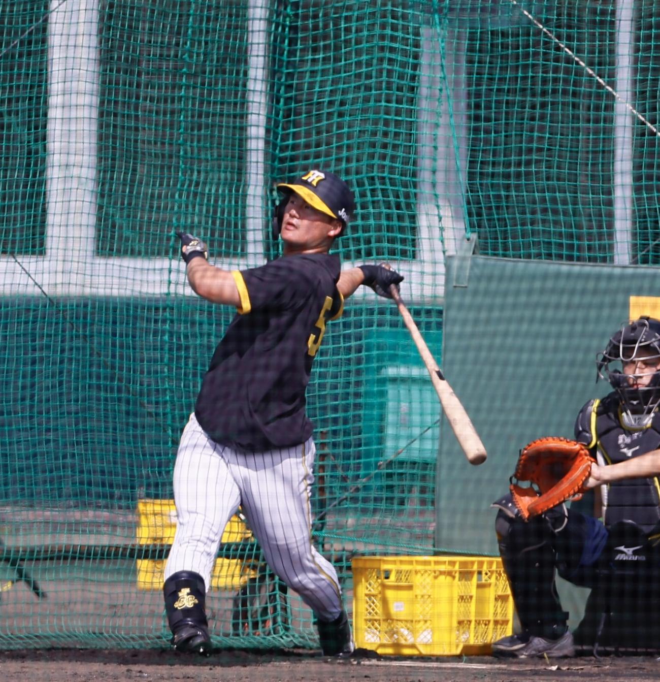 阪神春季キャンプ　ランチ特打で快音を響かせる前川右京（撮影・藤尾明華）